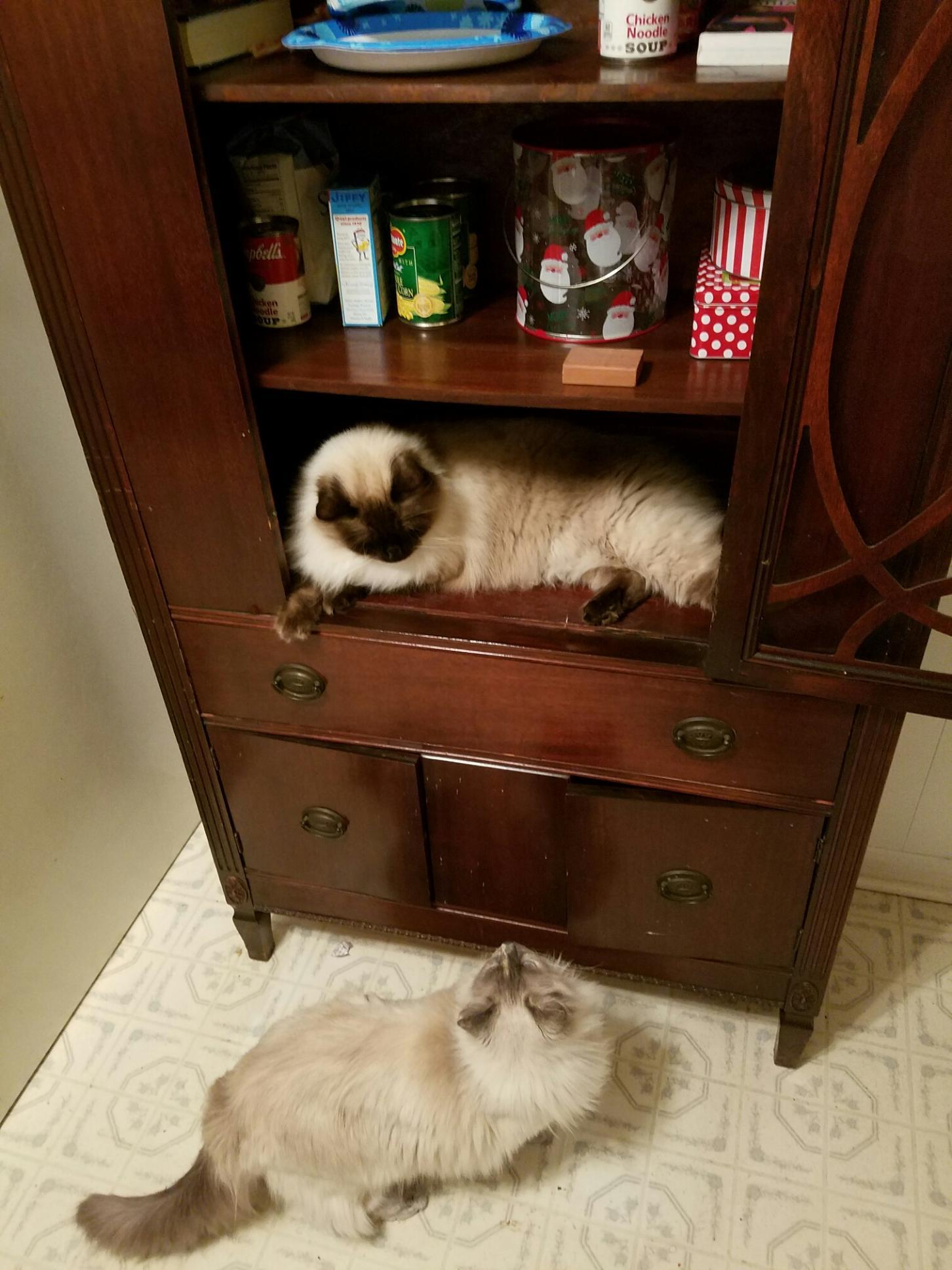 Resized952017010595162711