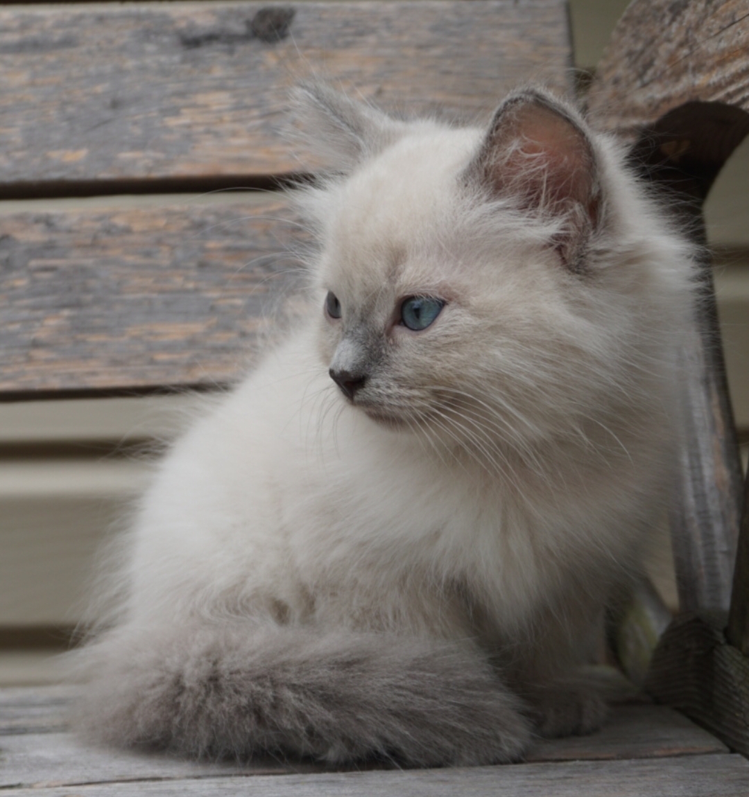 Screenshot_20190825-135157_Gallery